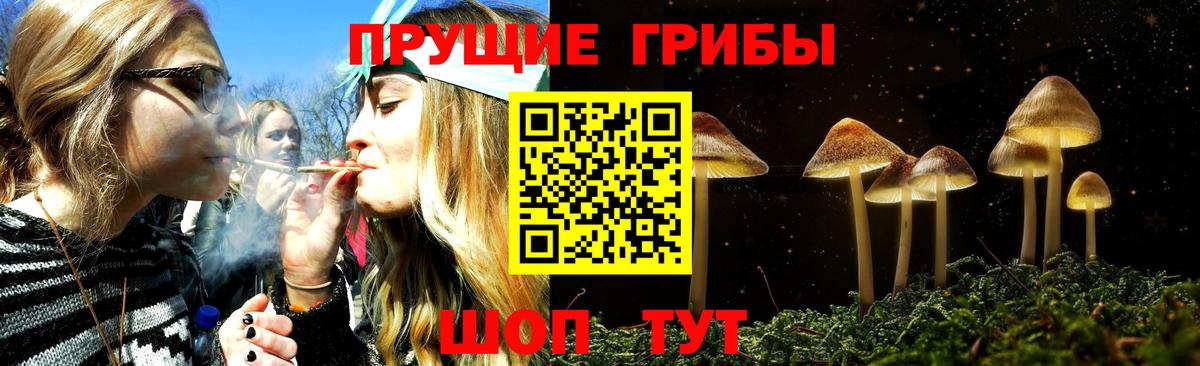 Азнакаево  Псилоцибиновые грибы мицелий  Вход с VPN 